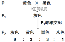 www.xiangpi.com