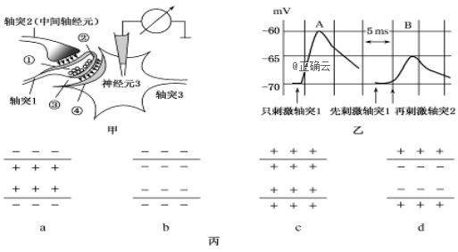 www.xiangpi.com