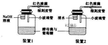 www.xiangpi.com
