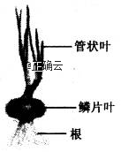 www.xiangpi.com