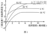 www.xiangpi.com