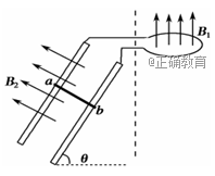 www.xiangpi.com