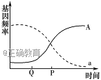 www.xiangpi.com