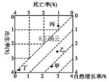 www.xiangpi.com