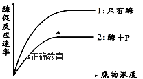 www.xiangpi.com