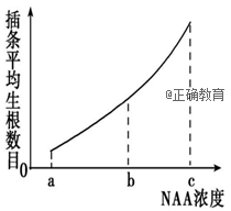 www.xiangpi.com