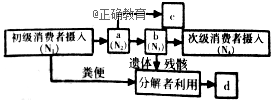 www.xiangpi.com