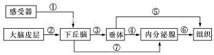 www.xiangpi.com