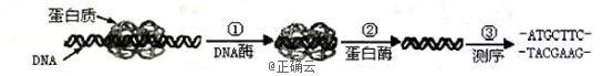 www.xiangpi.com