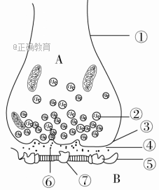 www.xiangpi.com