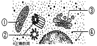 www.xiangpi.com