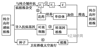 www.xiangpi.com