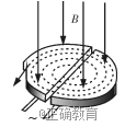 www.xiangpi.com