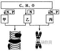 www.xiangpi.com
