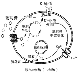 www.xiangpi.com