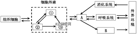 www.xiangpi.com