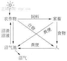 www.xiangpi.com