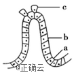 www.xiangpi.com