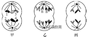 www.xiangpi.com
