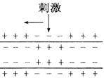 www.xiangpi.com