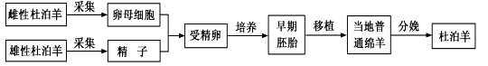 www.xiangpi.com