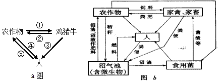 下图是两个农业生态系统的结构简图.