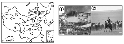 www.xiangpi.com
