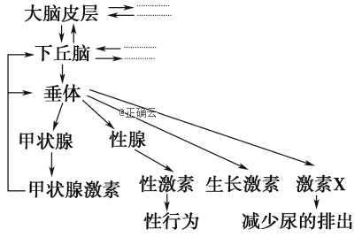 www.xiangpi.com