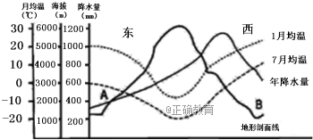 www.xiangpi.com