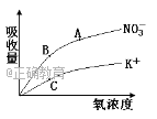 www.xiangpi.com
