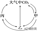 www.xiangpi.com
