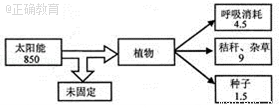 www.xiangpi.com