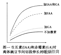 www.xiangpi.com