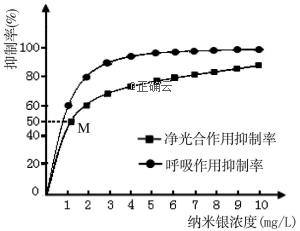 www.xiangpi.com