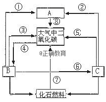 www.xiangpi.com