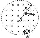 www.xiangpi.com