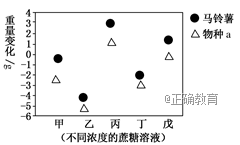www.xiangpi.com