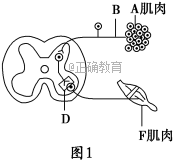 www.xiangpi.com