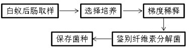 www.xiangpi.com