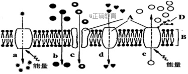 www.xiangpi.com