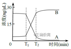 www.xiangpi.com