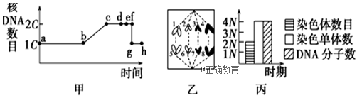 www.xiangpi.com