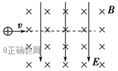 www.xiangpi.com