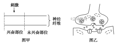 www.xiangpi.com