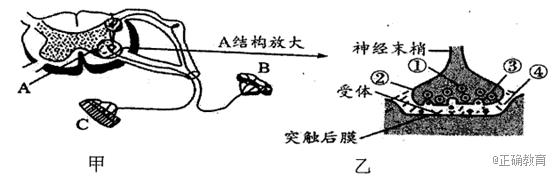 www.xiangpi.com