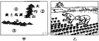 www.xiangpi.com