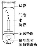 www.xiangpi.com
