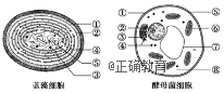 www.xiangpi.com