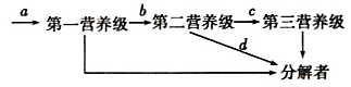 www.xiangpi.com