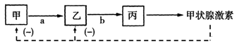 www.xiangpi.com